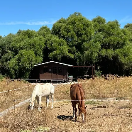 Cabana Rustica En Un Rancho Con Caballos, Prado Del Rey, Andalucia Exterior photo