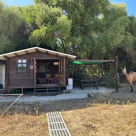 Cabana Rustica En Un Rancho Con Caballos, Prado Del Rey, Andalucia Exterior photo