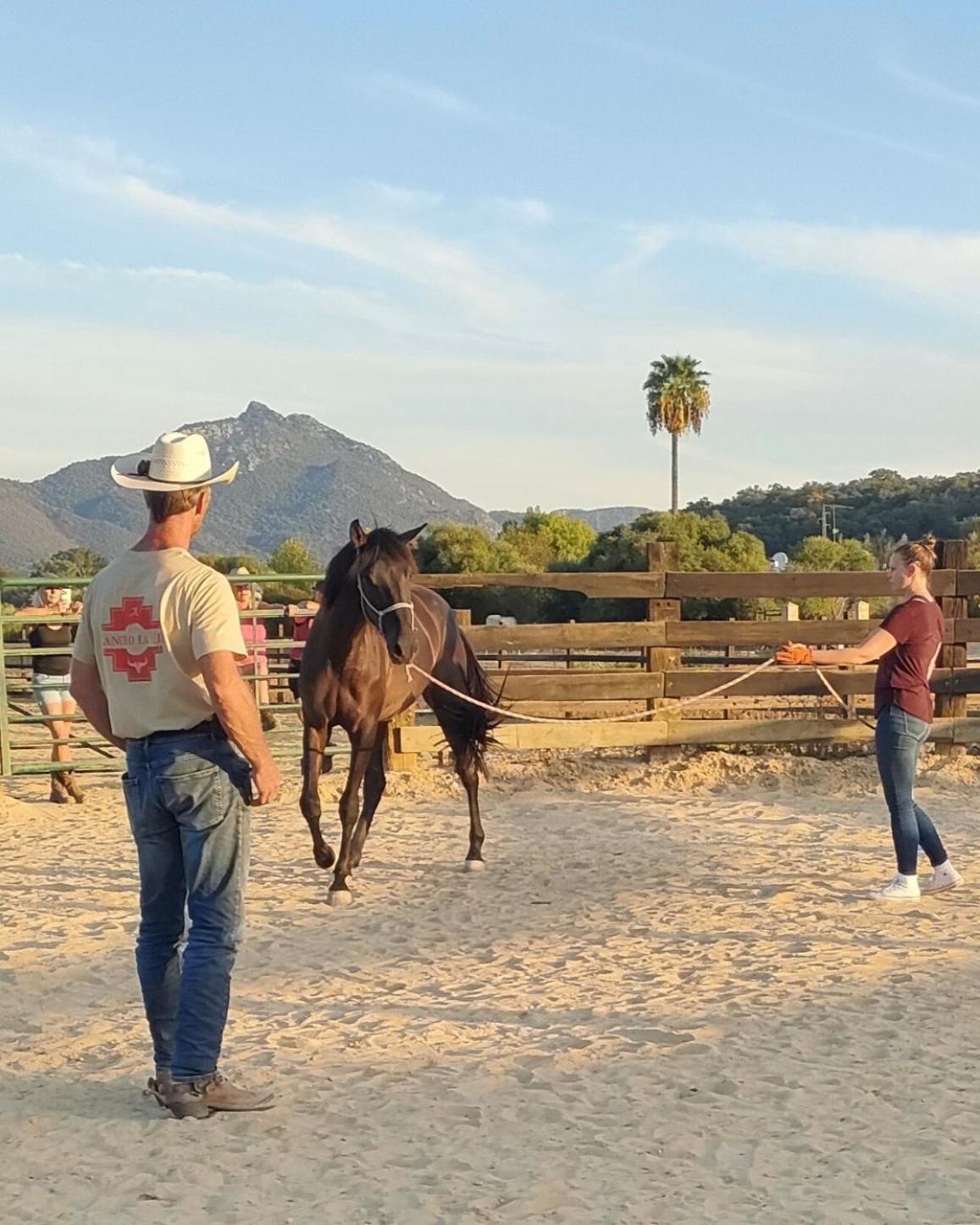 Rustica En Un Rancho Con Caballos, Prado Del Rey, Andalucia * Prado Del Rey