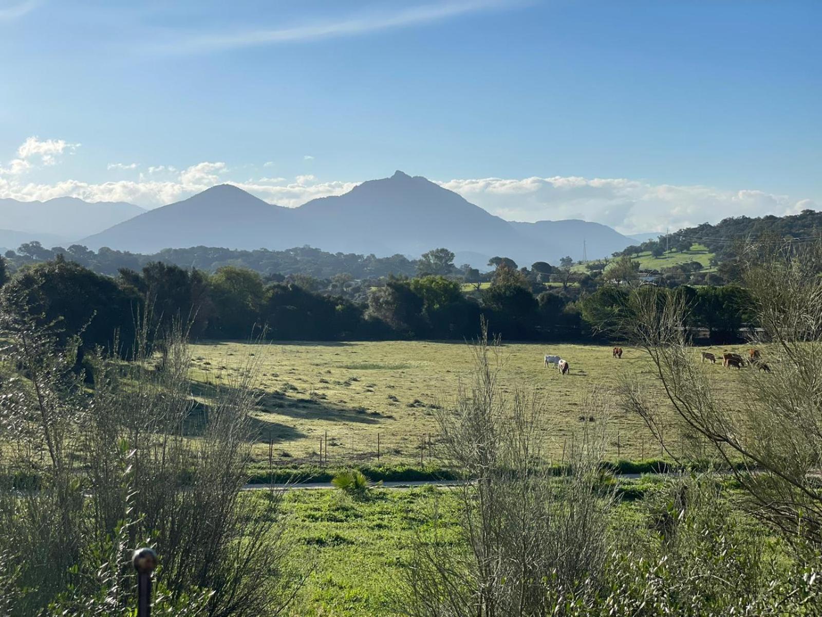Rustica En Un Rancho Con Caballos, Prado Del Rey, Andalucia Càmping