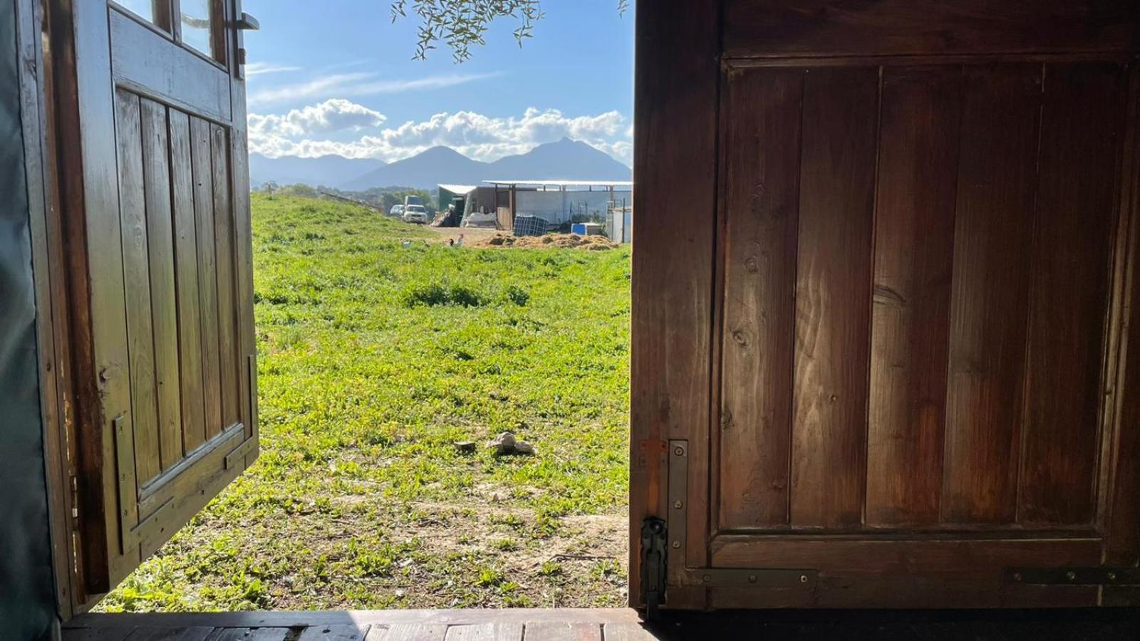 Rustica En Un Rancho Con Caballos, Prado Del Rey, Andalucia Prado Del Rey
