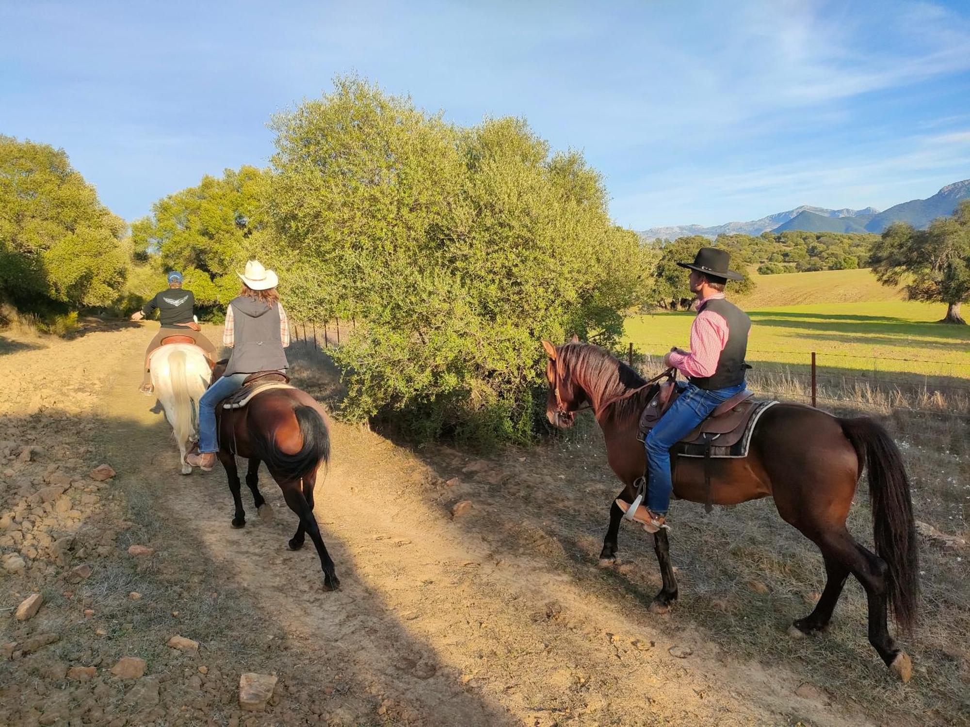 Càmping Rustica En Un Rancho Con Caballos, Prado Del Rey, Andalucia Prado Del Rey
