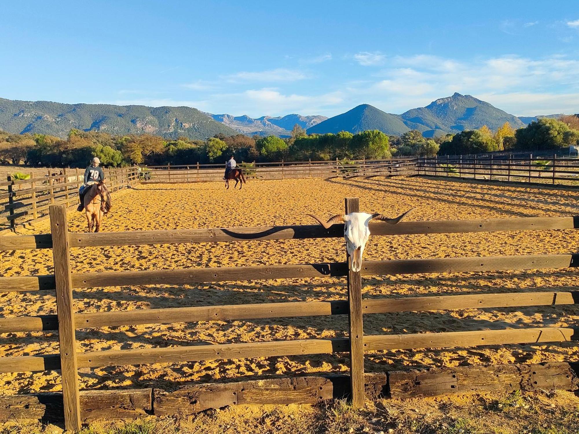 Rustica En Un Rancho Con Caballos, Prado Del Rey, Andalucia
