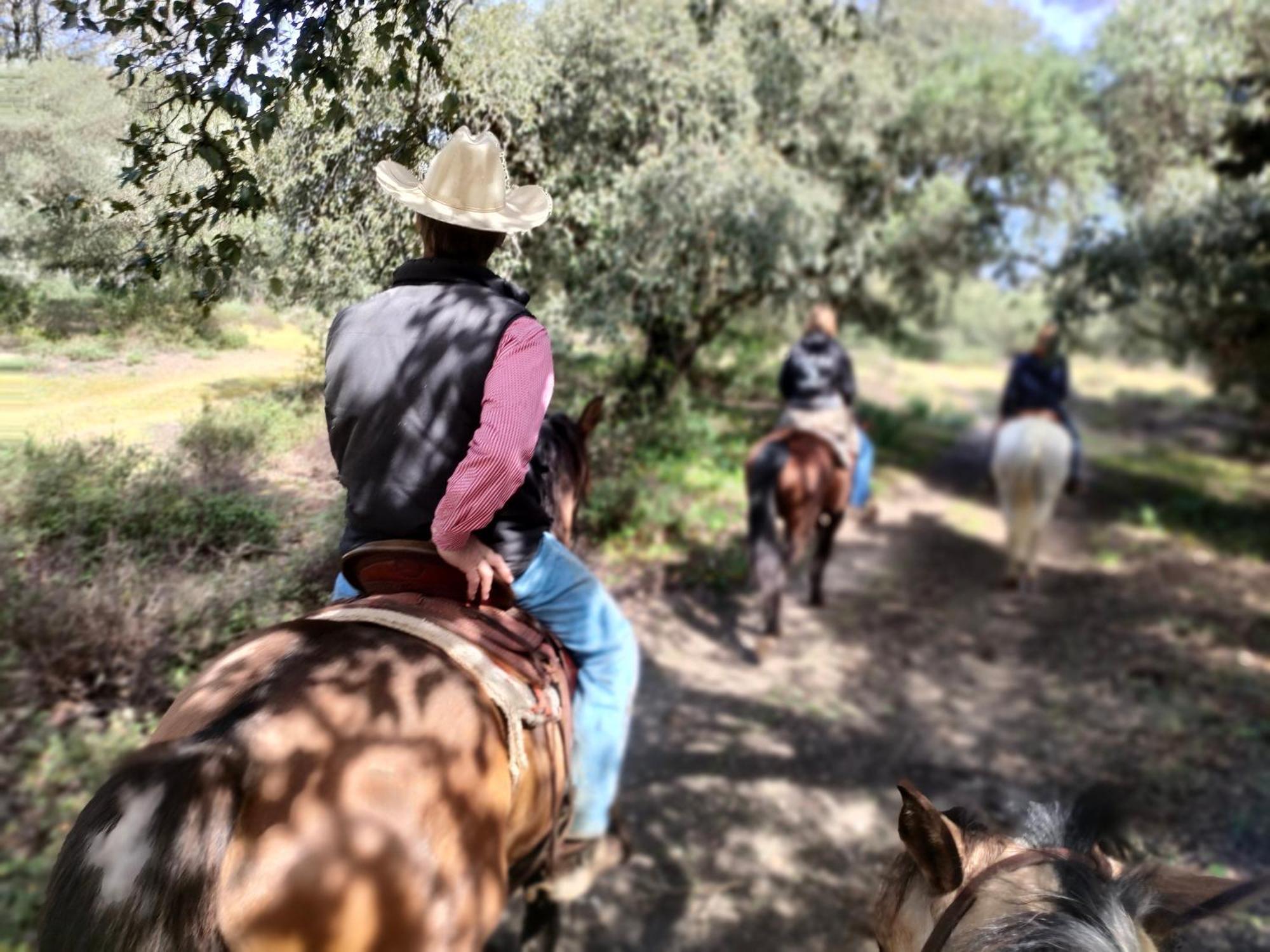 Rustica En Un Rancho Con Caballos, Prado Del Rey, Andalucia * Prado Del Rey