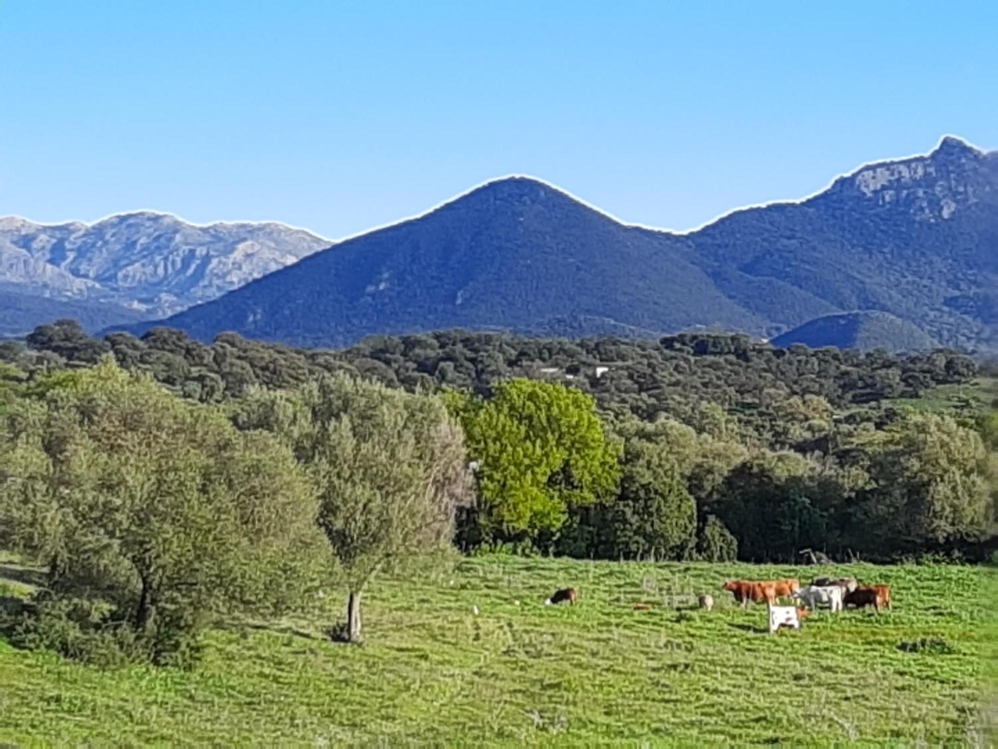 Rustica En Un Rancho Con Caballos, Prado Del Rey, Andalucia Càmping Prado Del Rey