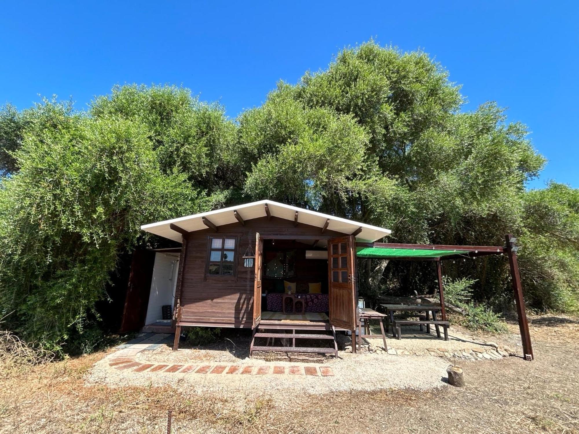 Rustica En Un Rancho Con Caballos, Prado Del Rey, Andalucia *