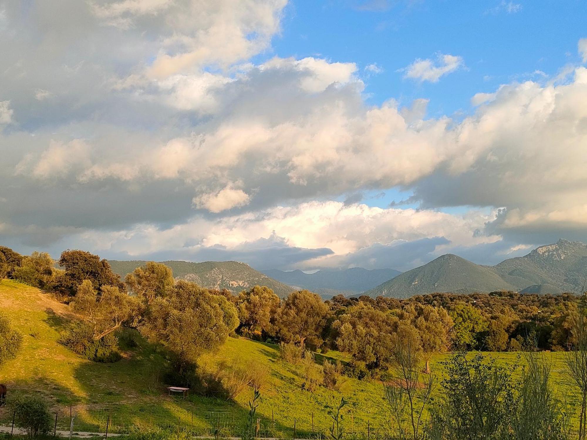Rustica En Un Rancho Con Caballos, Prado Del Rey, Andalucia Càmping