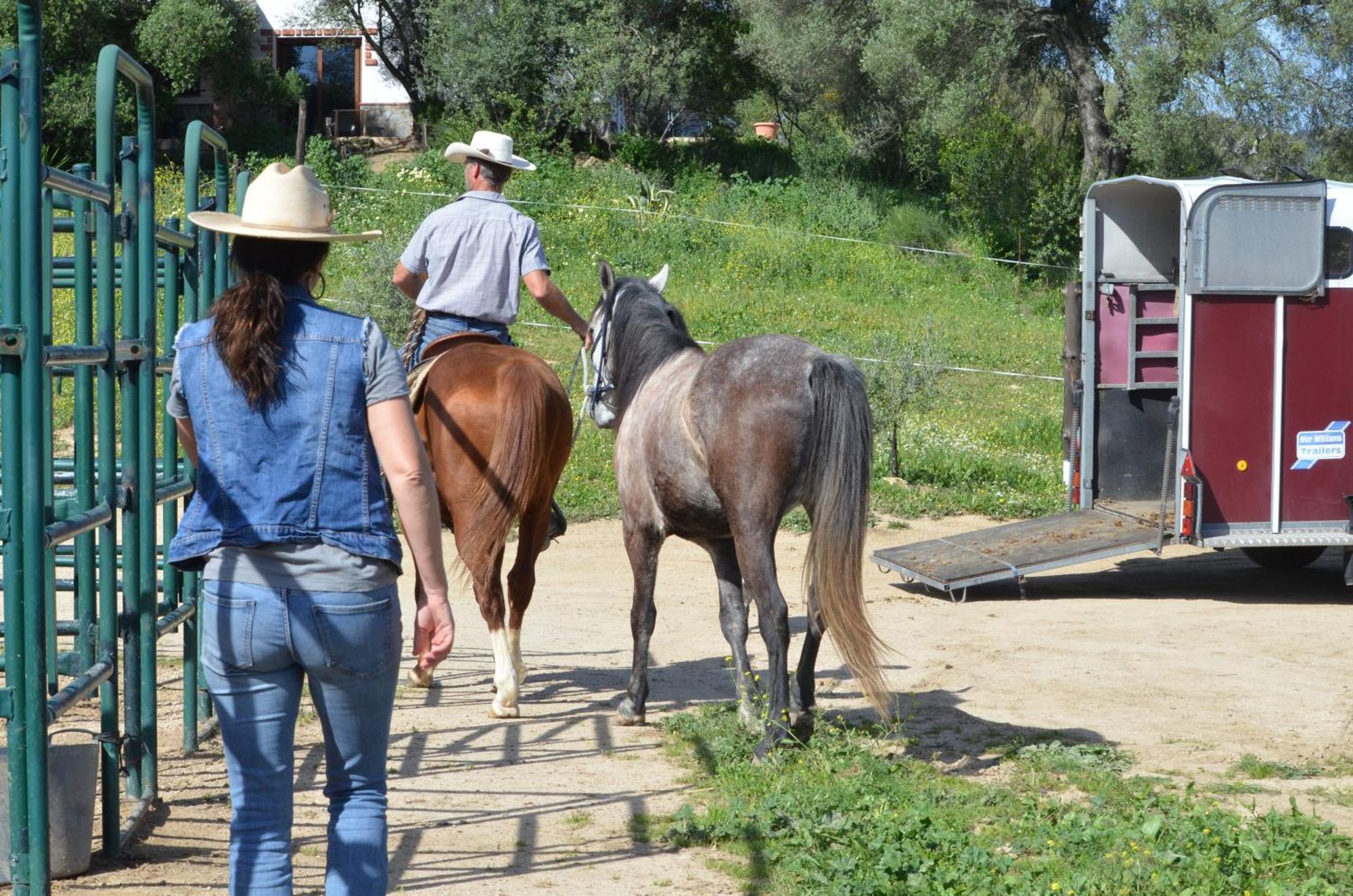 Rustica En Un Rancho Con Caballos, Prado Del Rey, Andalucia Càmping Prado Del Rey