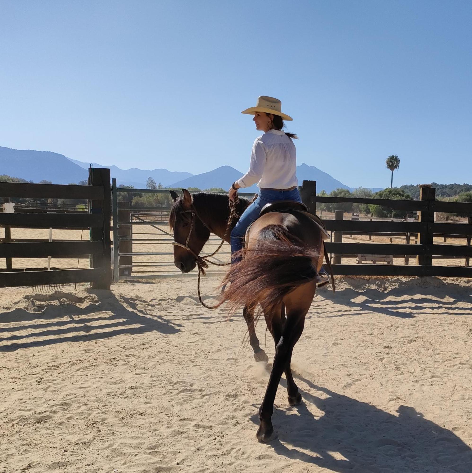 Rustica En Un Rancho Con Caballos, Prado Del Rey, Andalucia Prado Del Rey